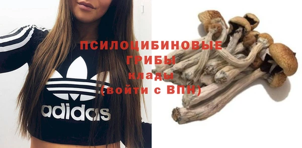 экстази Новозыбков